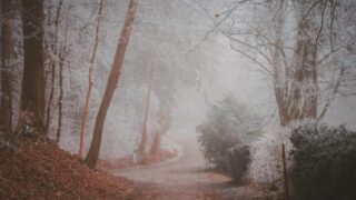 FXでは「わからない」と言えない人ほど、相場を難しくする~相場分析動画のワナ~