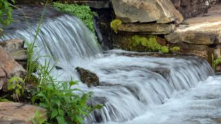 FXでチャンスを逃しても大丈夫! 焦らないトレードの考え方~「心のゆとり」から生まれる判断力の強化~