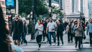 FXでエントリーパターンが人気の理由とは？考えなくていい社会とトレード思考の関係